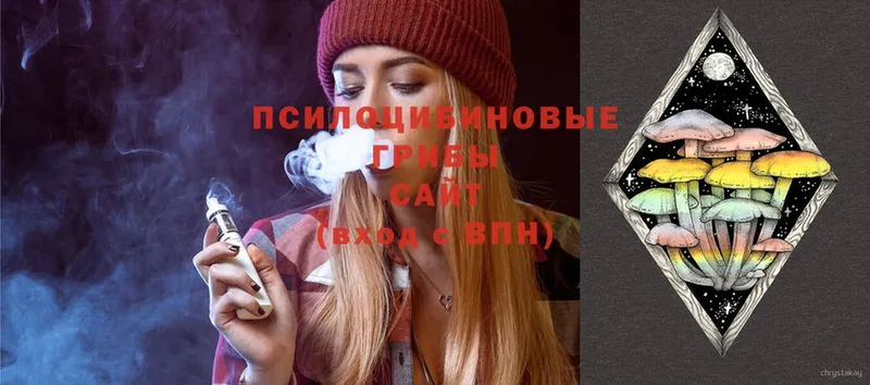 Псилоцибиновые грибы Psilocybe  mega как войти  Сортавала  где продают наркотики 